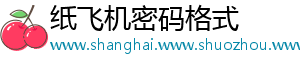 纸飞机密码格式